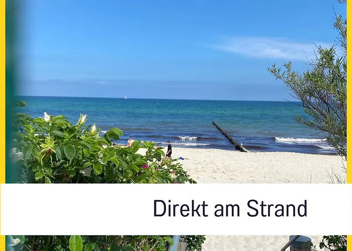 2 Zimmer App Duenengarten Lieblingsplatz Wg11