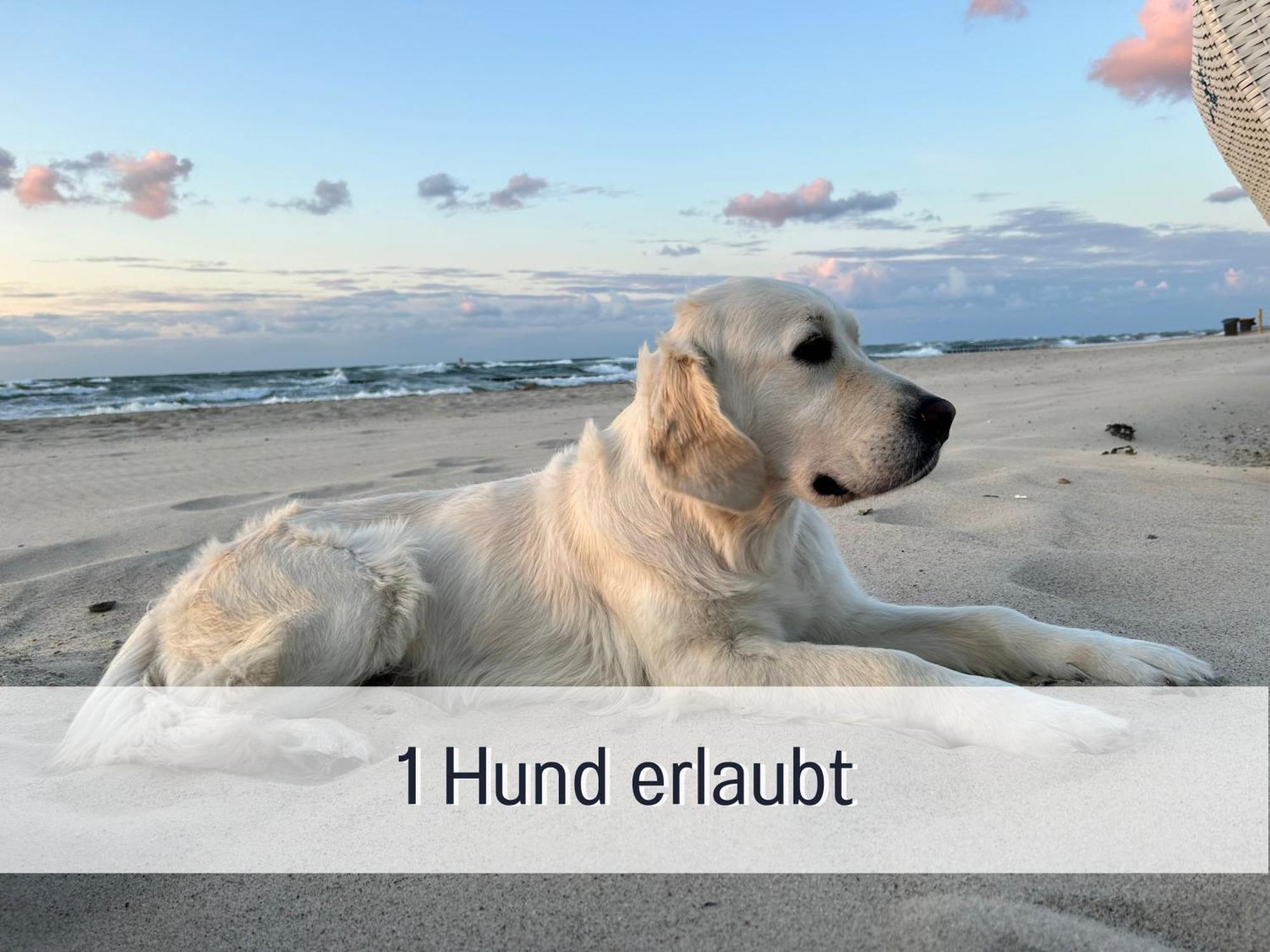 2 App Duenengarten Lieblingsplatz Wg11 Apartment Kuehlungsborn