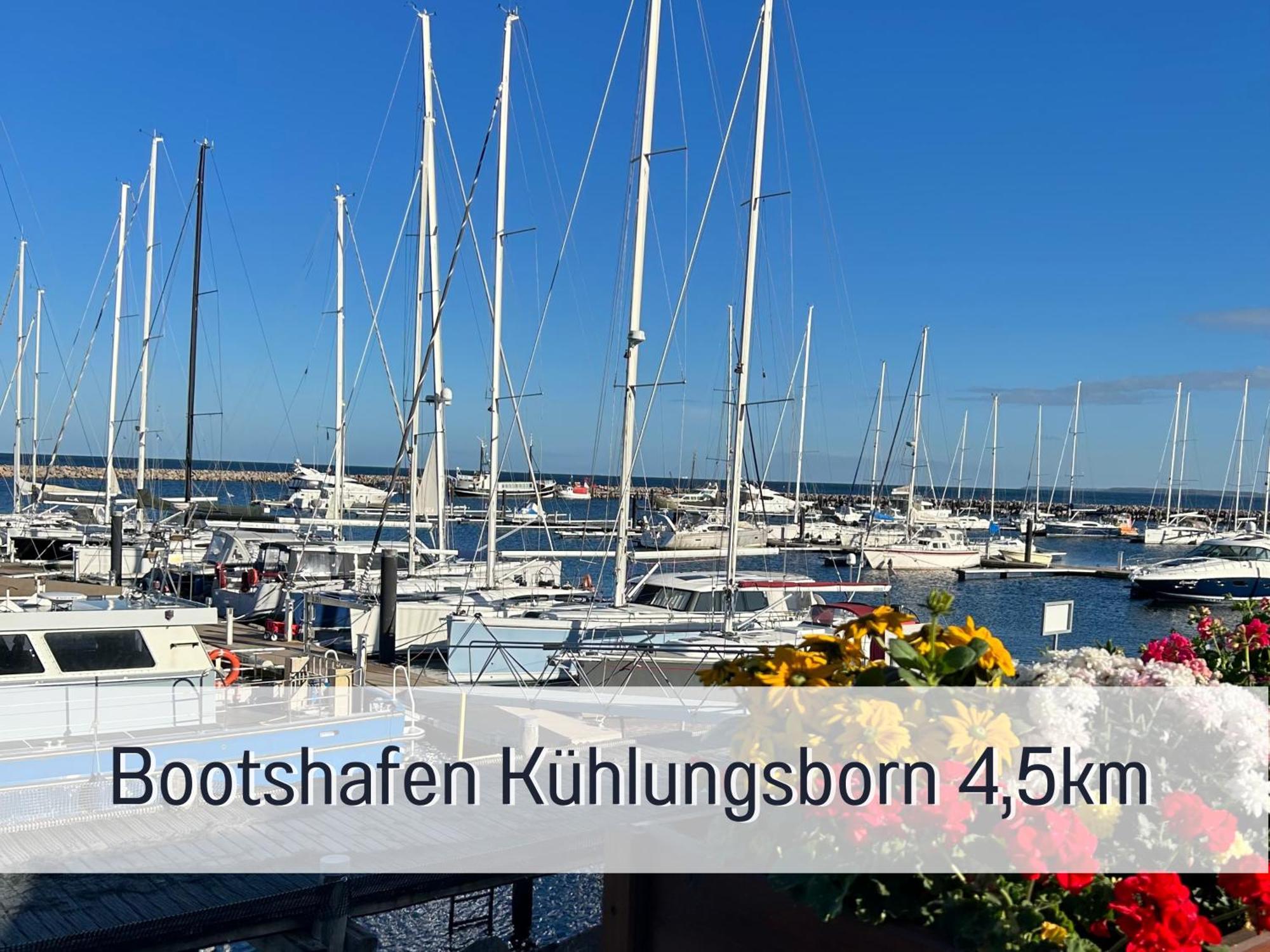 2 App Duenengarten Lieblingsplatz Wg11 Apartment